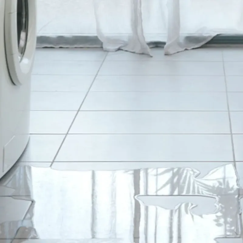 Appliance Leak Cleanup in Granite Hills, CA