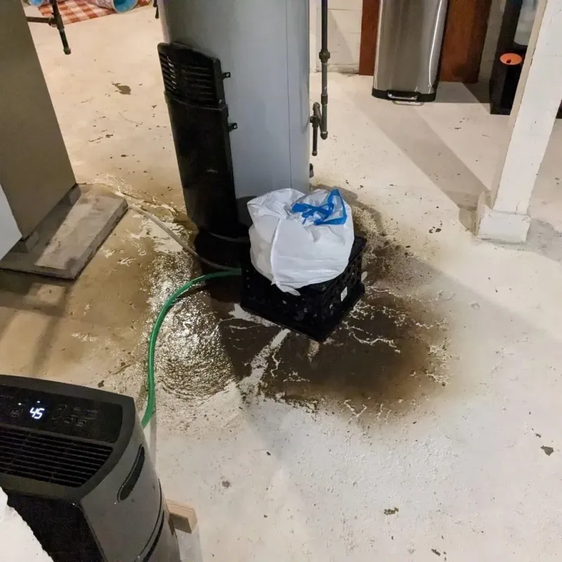 Sewage Backup Cleanup Service in Granite Hills, CA